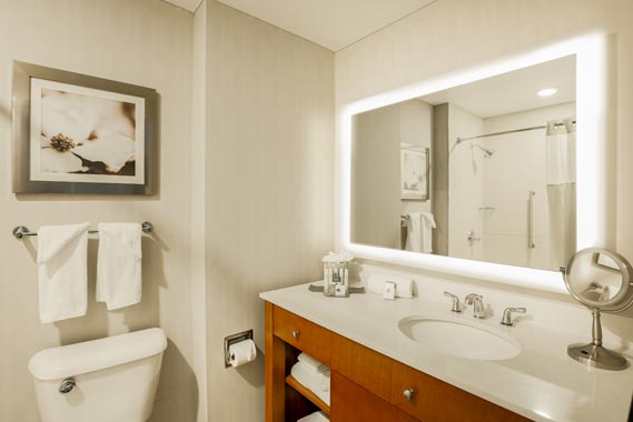 DoubleTree by Hilton Atlanta Georgia - Double Guest Suite Bathroom