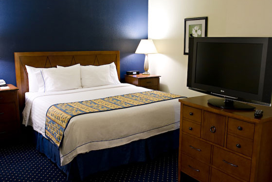 Residence Inn by Marriott Westlake California - suite